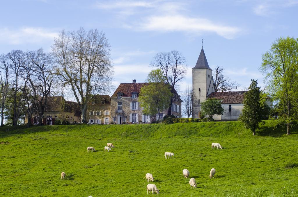 Chateau D'Orion Hotel Luaran gambar